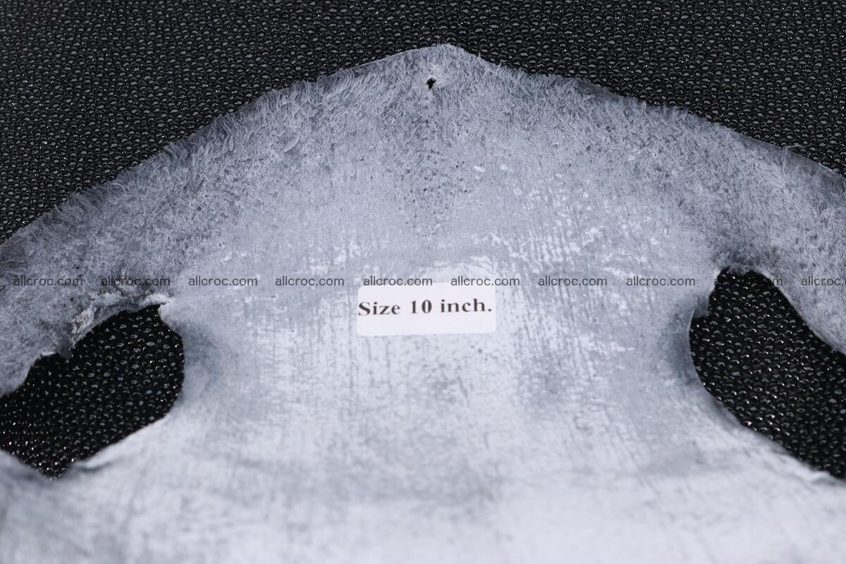 Stingray skin long shape 10 inches 1280 Foto 5