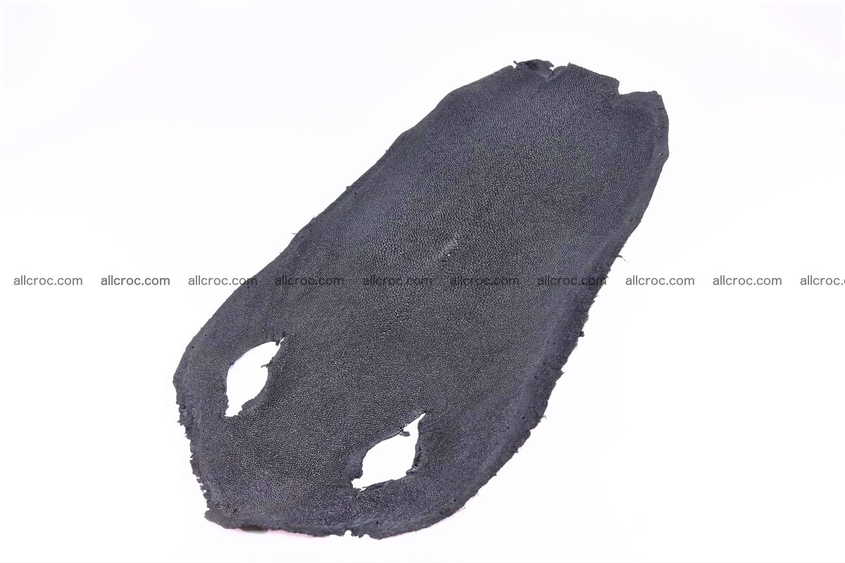 Stingray skin long shape 7 inches 1281 Foto 0