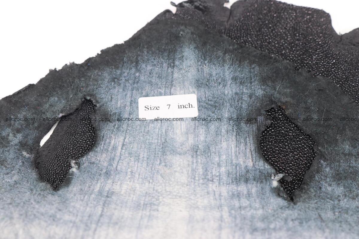 Stingray skin long shape 7 inches 1281 Foto 4