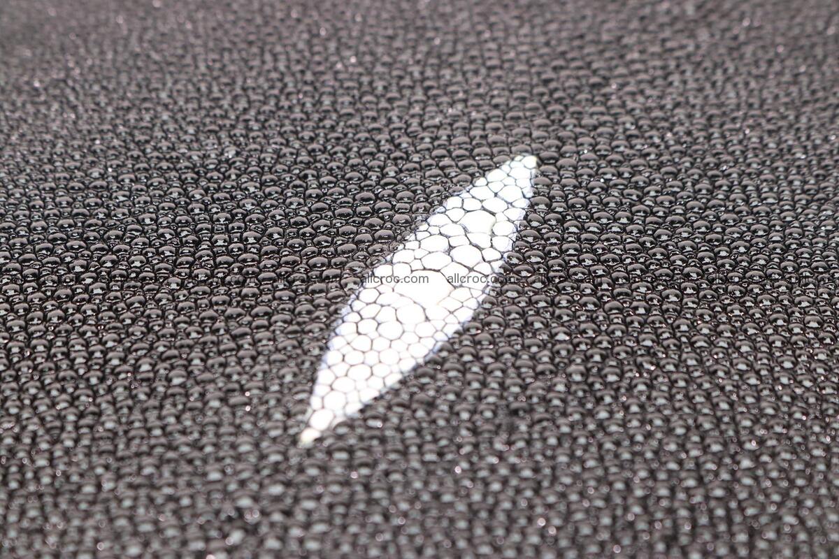 Stingray skin long shape 10 inches 1280 Foto 2