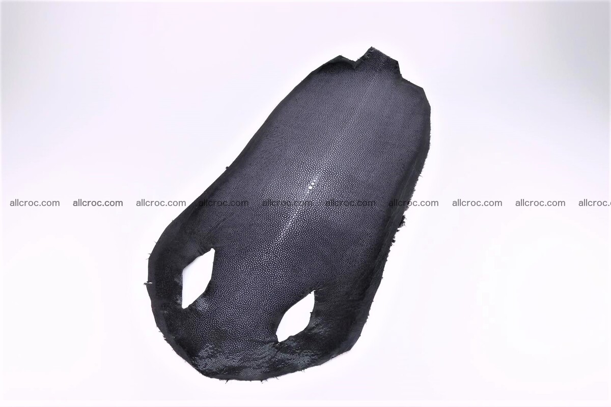 Sanded stingray skin long shape 9 inches 1277 Foto 0