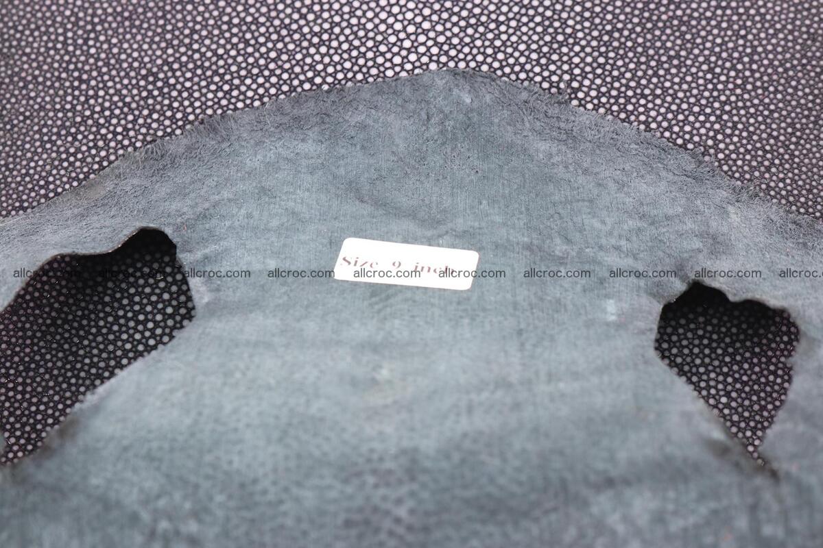 Sanded stingray skin long shape 9 inches 1277 Foto 4