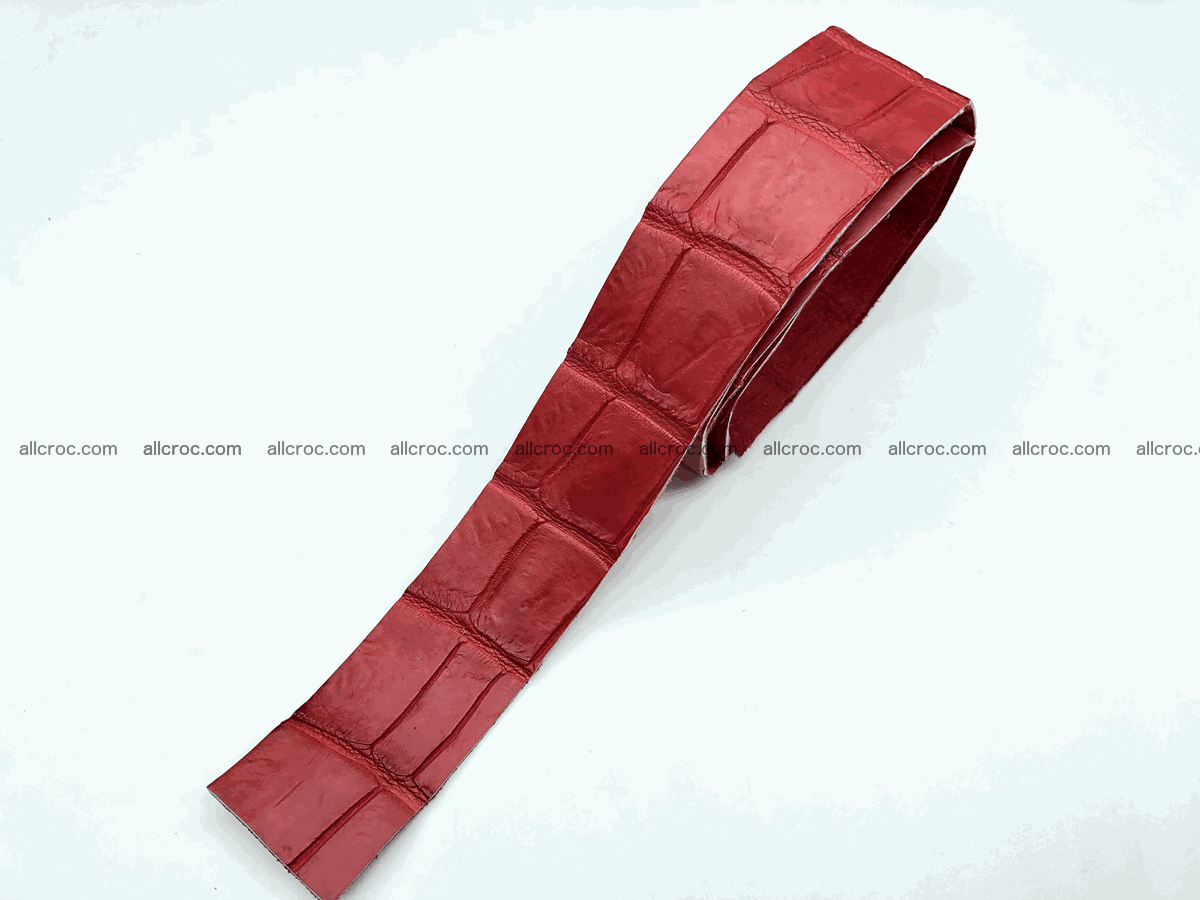 Blank for belt from Siamese crocodile skin belly part 569 Foto 0