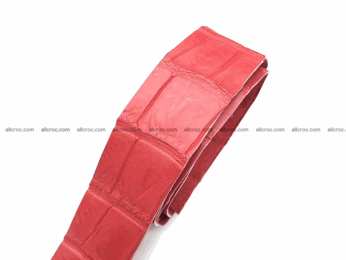 Blank for belt from Siamese crocodile skin belly part 569 Foto 1
