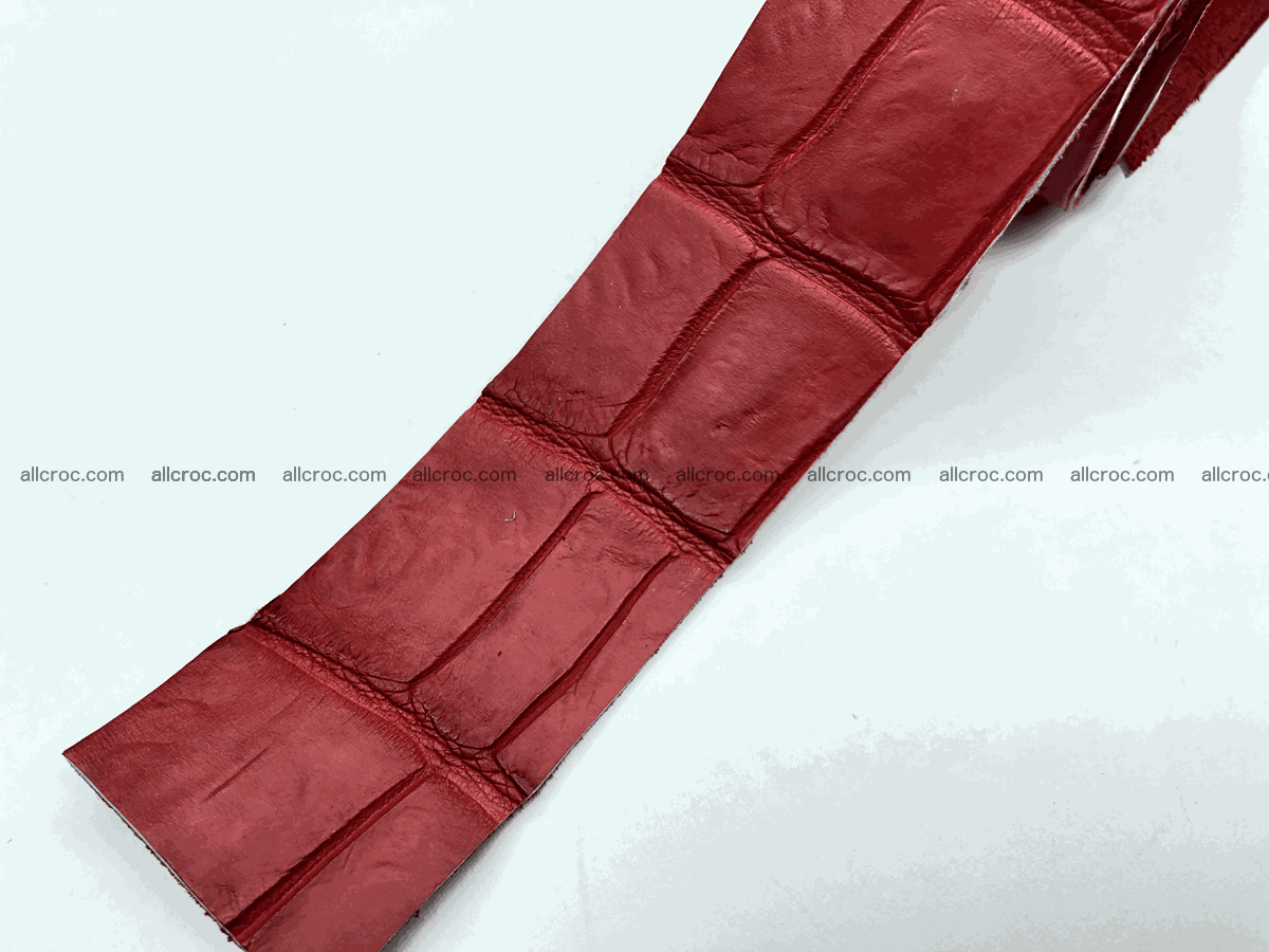 Blank for belt from Siamese crocodile skin belly part 569 Foto 7