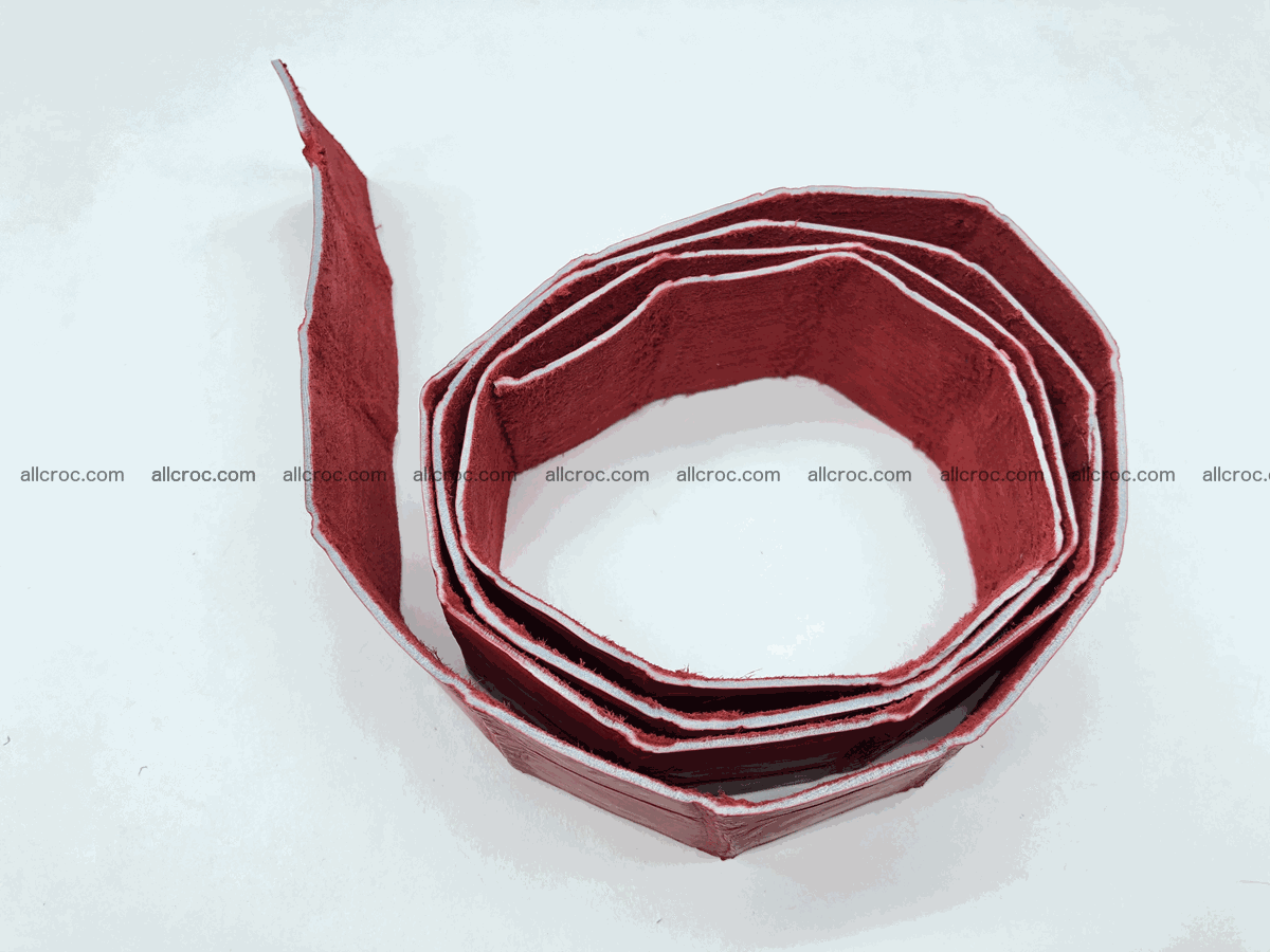 Blank for belt from Siamese crocodile skin belly part 569 Foto 2