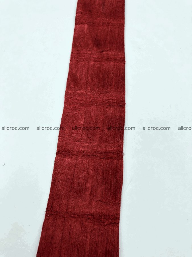 Blank for belt from Siamese crocodile skin belly part 569 Foto 5