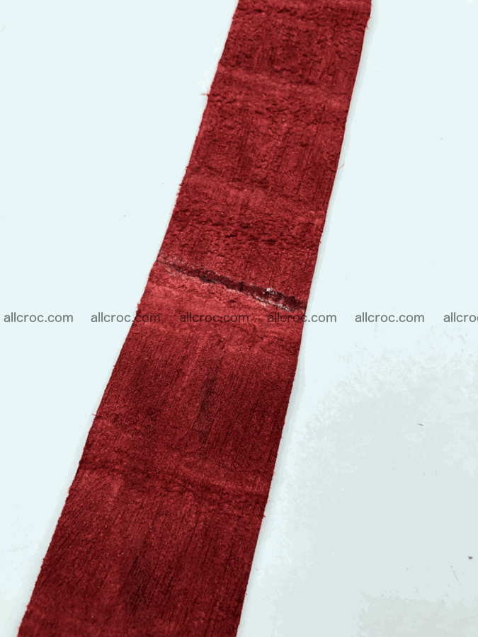 Blank for belt from Siamese crocodile skin belly part 569 Foto 6