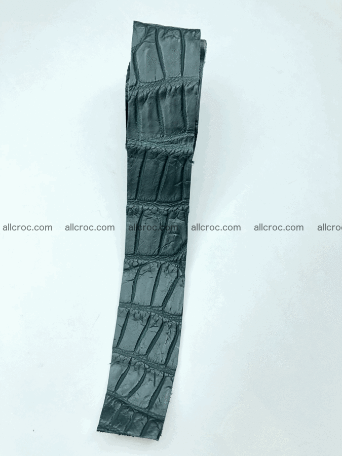 Blank for belt from Siamese crocodile skin belly part 570 Foto 1