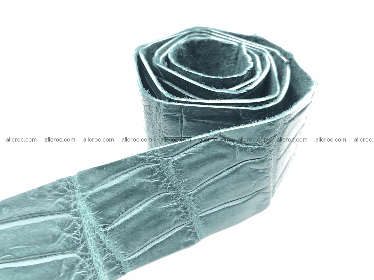 Blank for belt from Siamese crocodile skin belly part 570 Foto 0