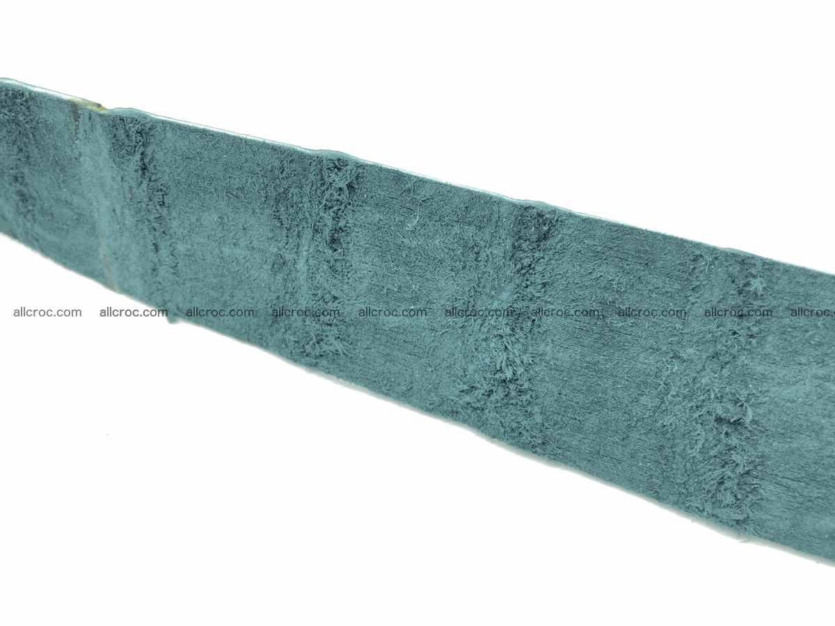 Blank for belt from Siamese crocodile skin belly part 570 Foto 5