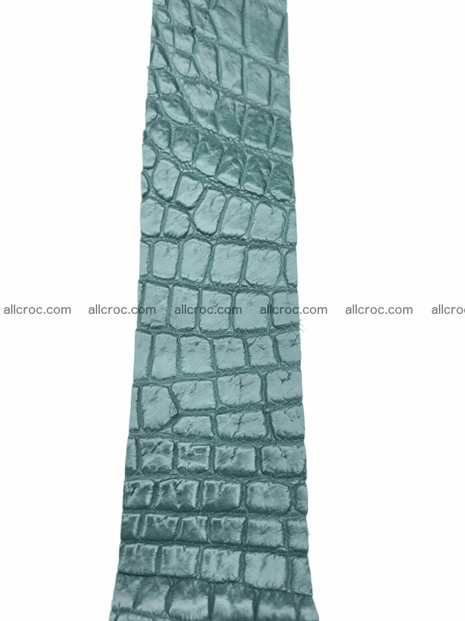 Blank for belt from Siamese crocodile skin belly part 570 Foto 3