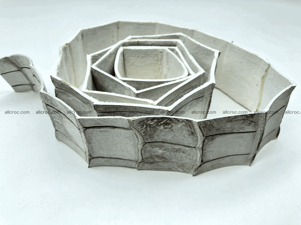 Blank for belt from Siamese crocodile skin belly part 571 Foto 0