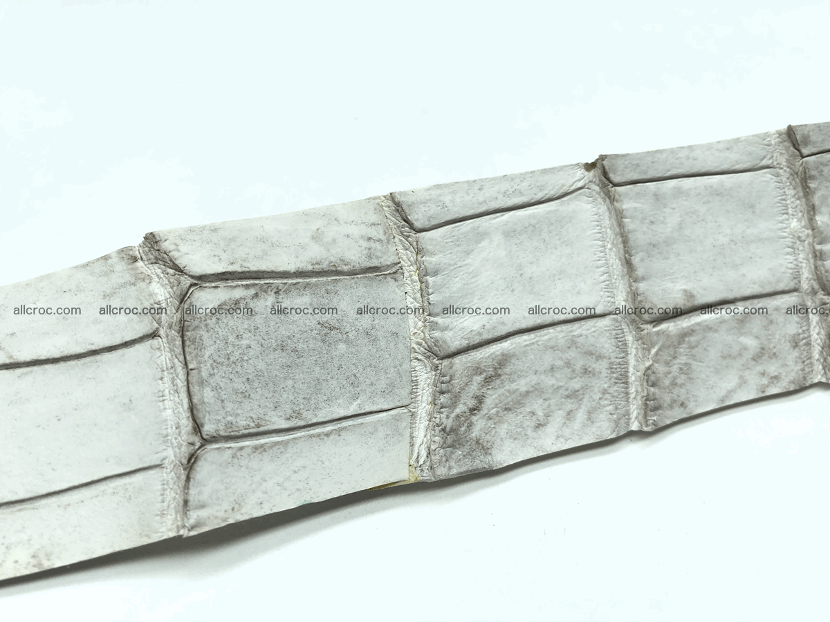 Blank for belt from Siamese crocodile skin belly part 571 Foto 2
