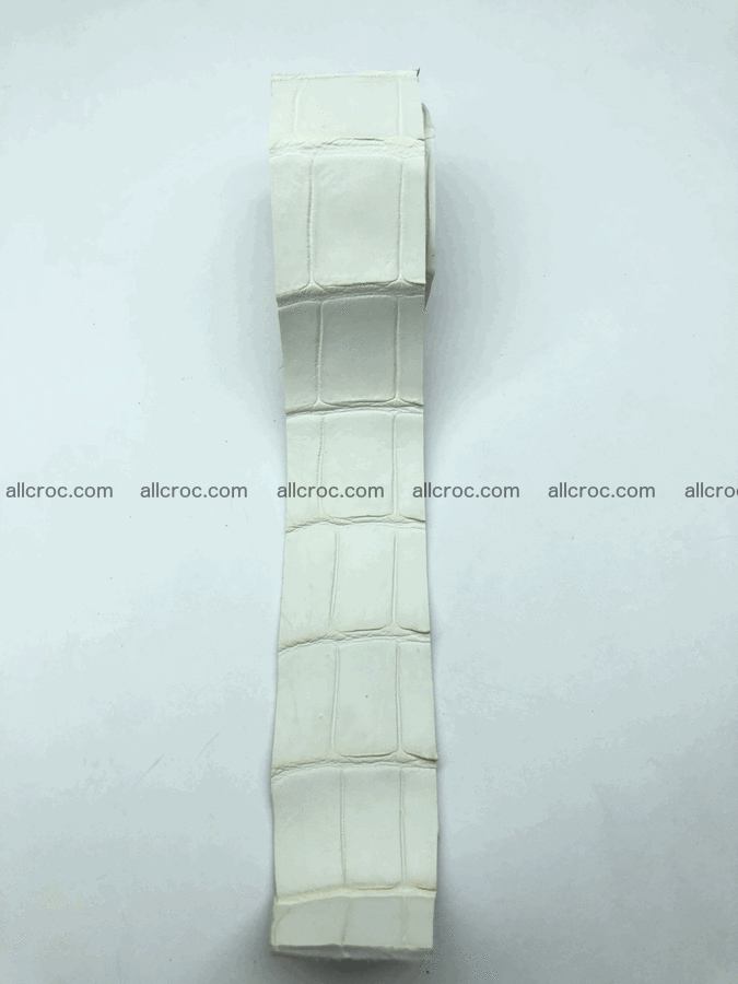 Blank for belt from Siamese crocodile skin belly part 572 Foto 1