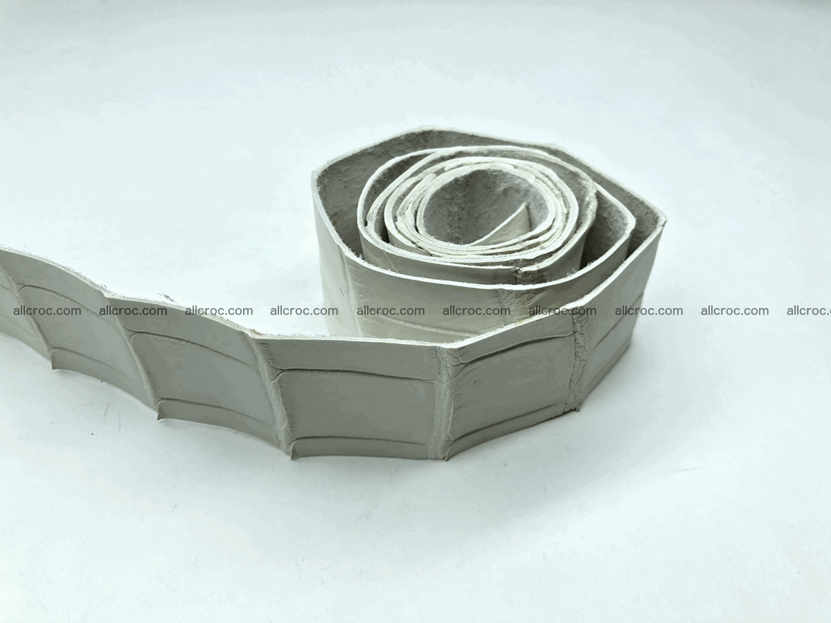 Blank for belt from Siamese crocodile skin belly part 572 Foto 0