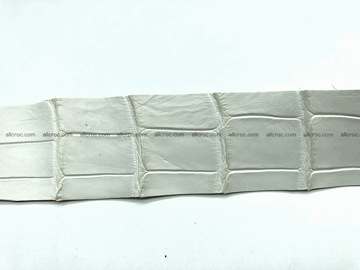 Blank for belt from Siamese crocodile skin belly part 572 Foto 2