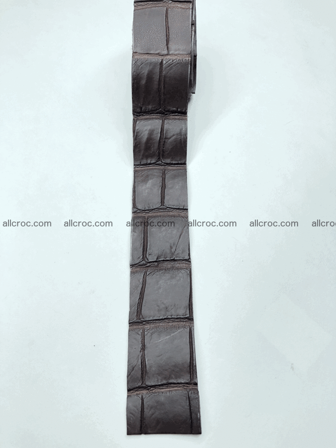Blank for belt from Siamese crocodile skin belly part 573 Foto 1
