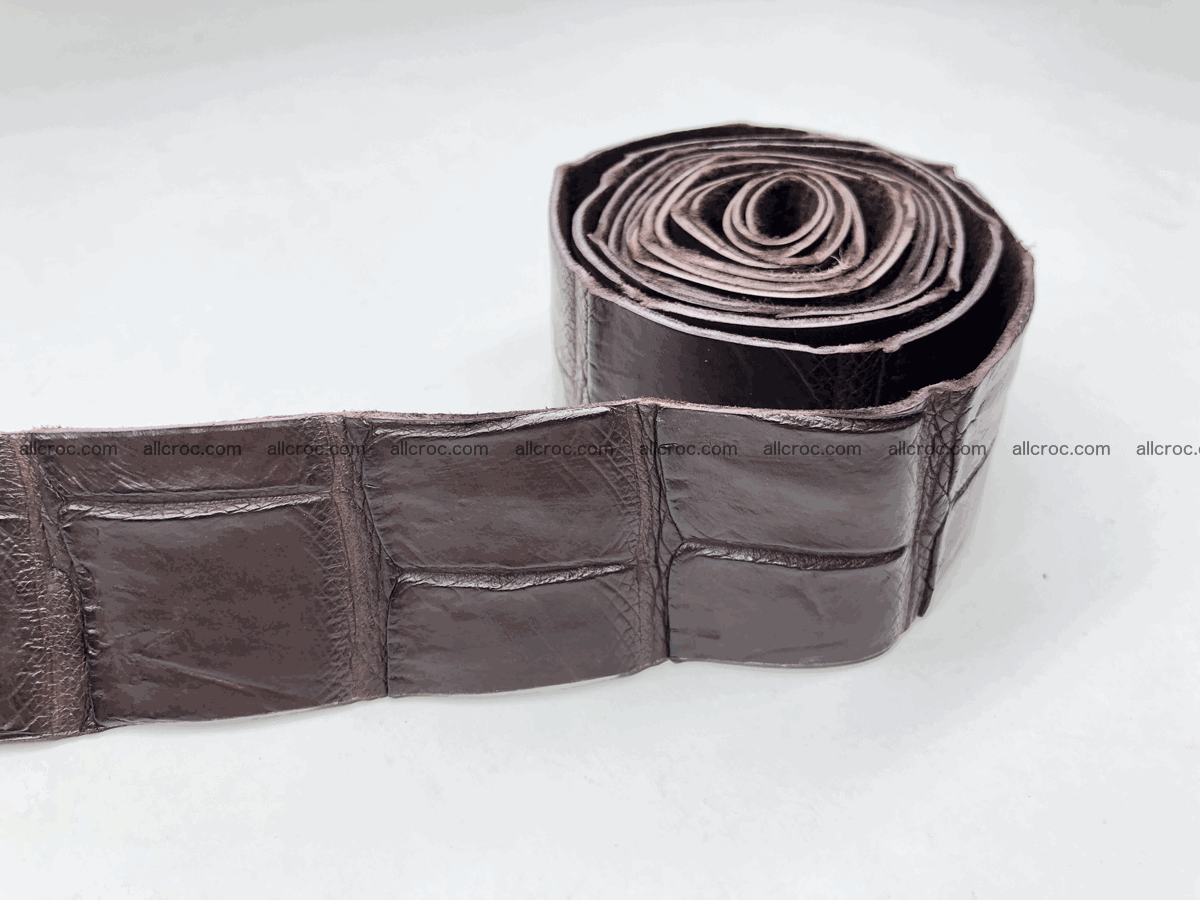Blank for belt from Siamese crocodile skin belly part 573 Foto 0