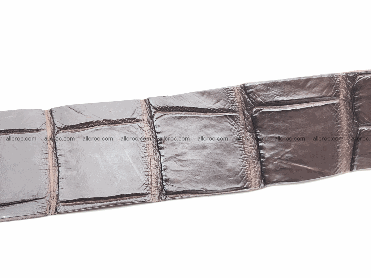 Blank for belt from Siamese crocodile skin belly part 573 Foto 2