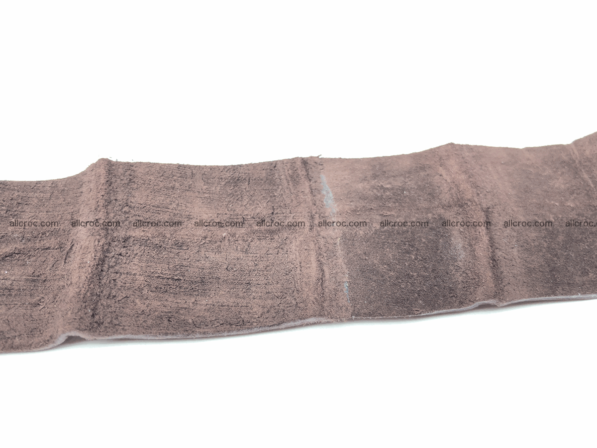 Blank for belt from Siamese crocodile skin belly part 573 Foto 3