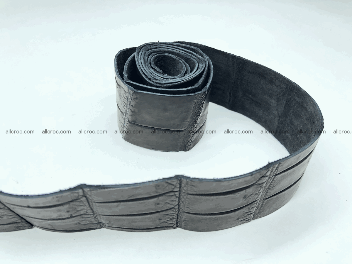 Blank for belt from Siamese crocodile skin belly part 568 Foto 0