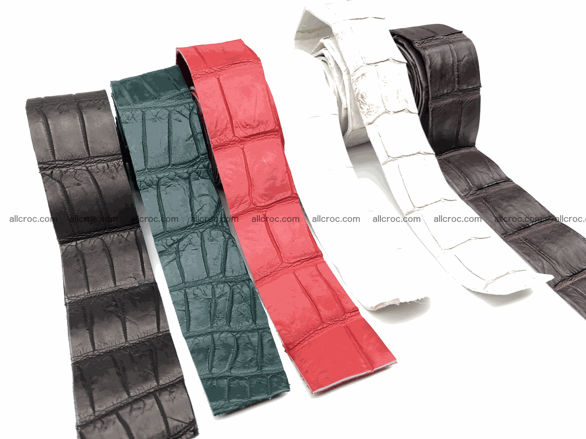 Blank for belt from Siamese crocodile skin belly part 572 Foto 4