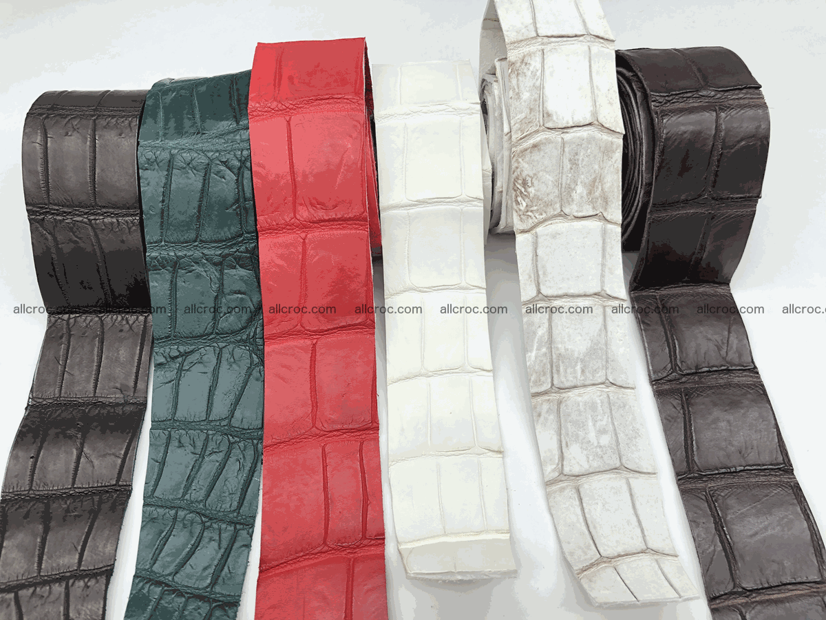 Blank for belt from Siamese crocodile skin belly part 572 Foto 5