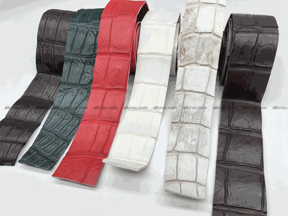 Blank for belt from Siamese crocodile skin belly part 572 Foto 6