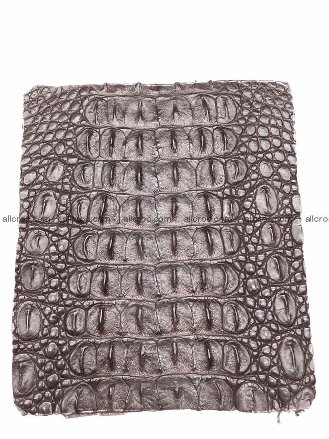 Blank for wallet from crocodile skin 23cm x 19cm 574 Foto 0
