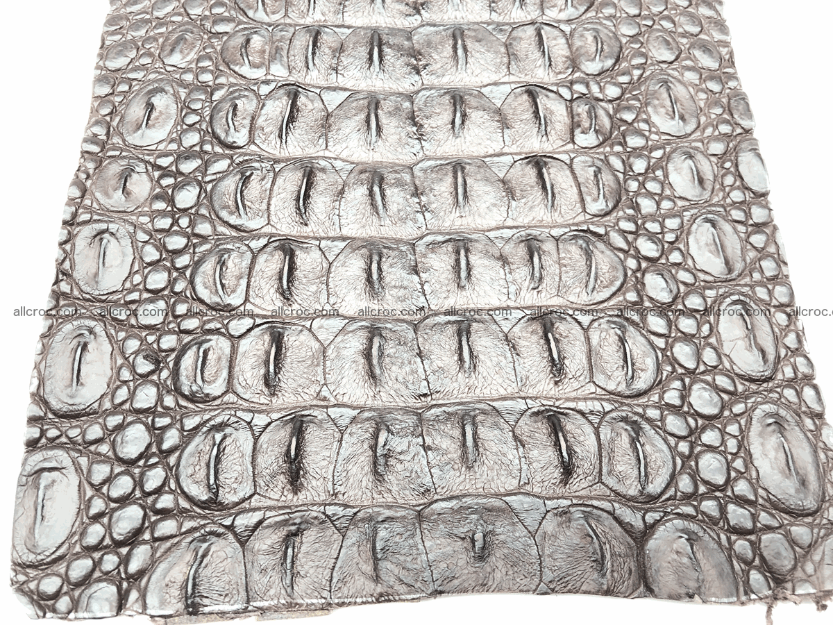 Blank for wallet from crocodile skin 23cm x 19cm 574 Foto 2