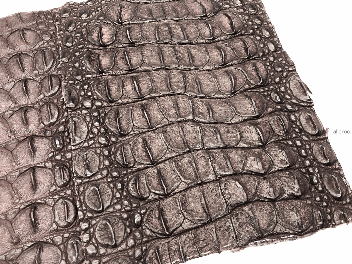 Blank for wallet from crocodile skin 23cm x 19cm 574 Foto 5