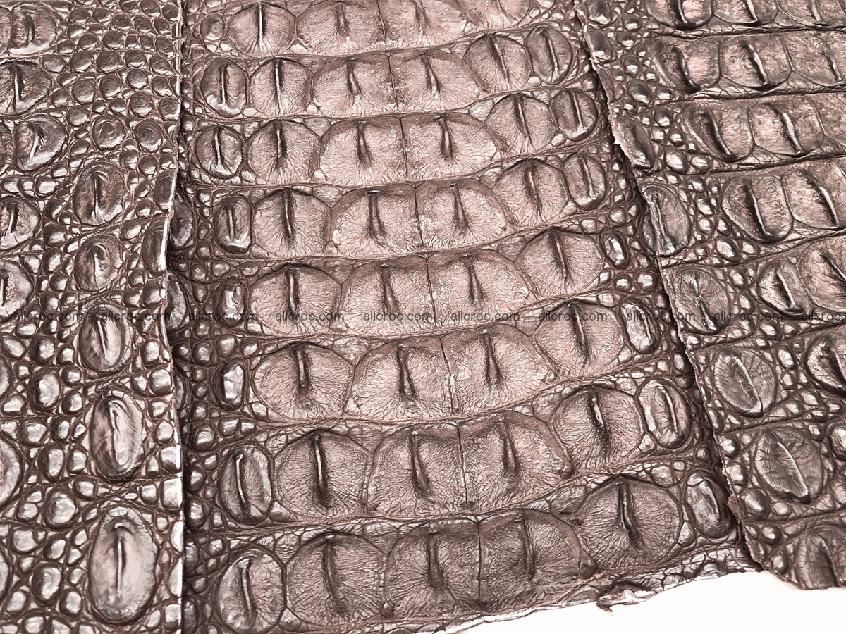 Blank for wallet from crocodile skin 23cm x 19cm 574 Foto 6