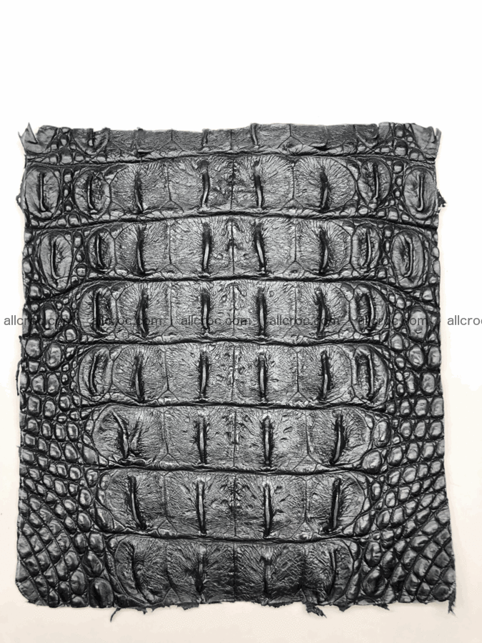 Blank for wallet from crocodile skin 23cm x 19cm 575 Foto 0