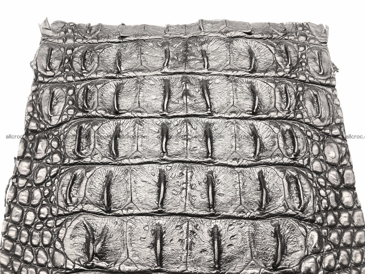 Blank for wallet from crocodile skin 23cm x 19cm 575 Foto 2