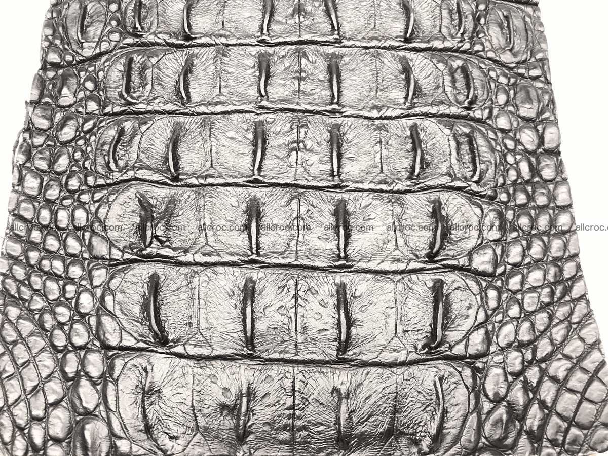 Blank for wallet from crocodile skin 23cm x 19cm 575 Foto 1