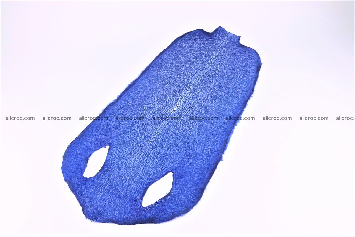 Sanded stingray skin long shape 9 inches 1275 Foto 0