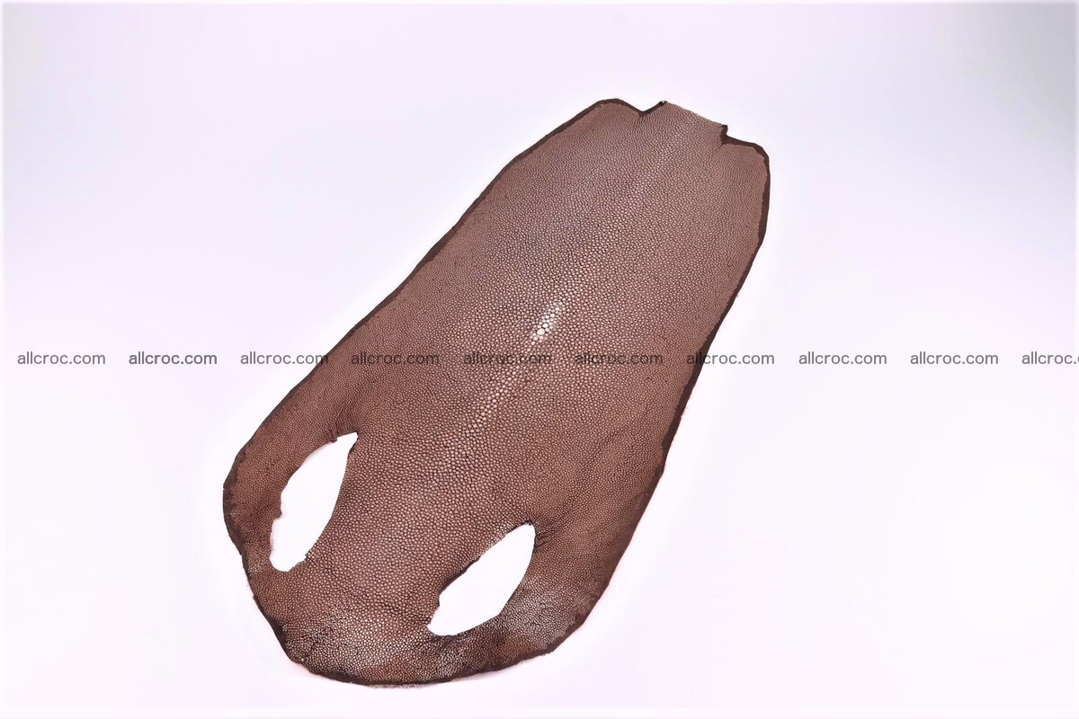 Sanded stingray skin long shape 8 inches 1279 Foto 0