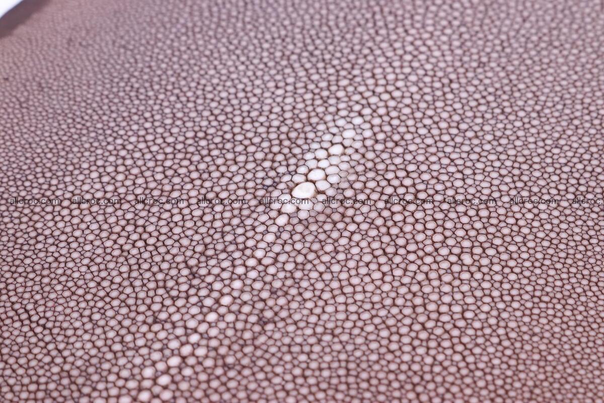 Sanded stingray skin long shape 8 inches 1279 Foto 1