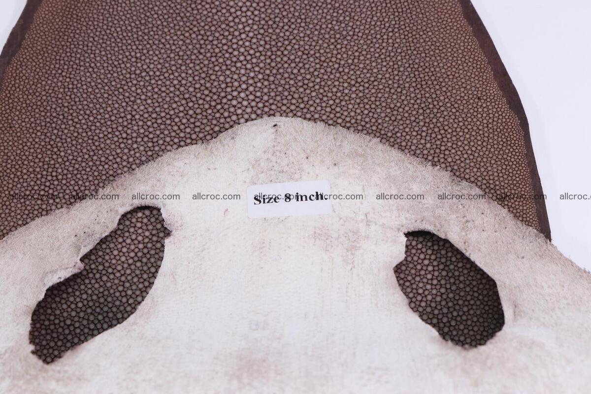 Sanded stingray skin long shape 8 inches 1279 Foto 4