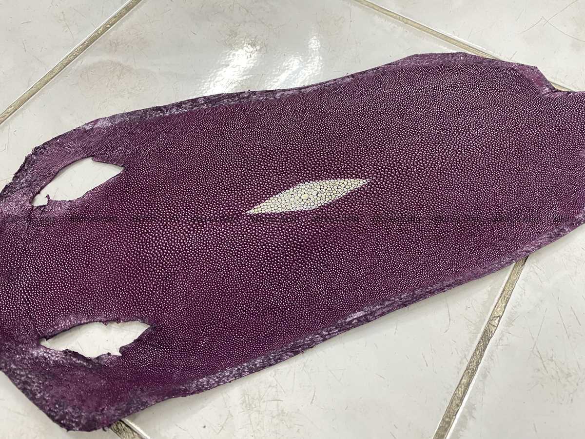 Stingray skin long shape 8 inches 2336 Foto 0