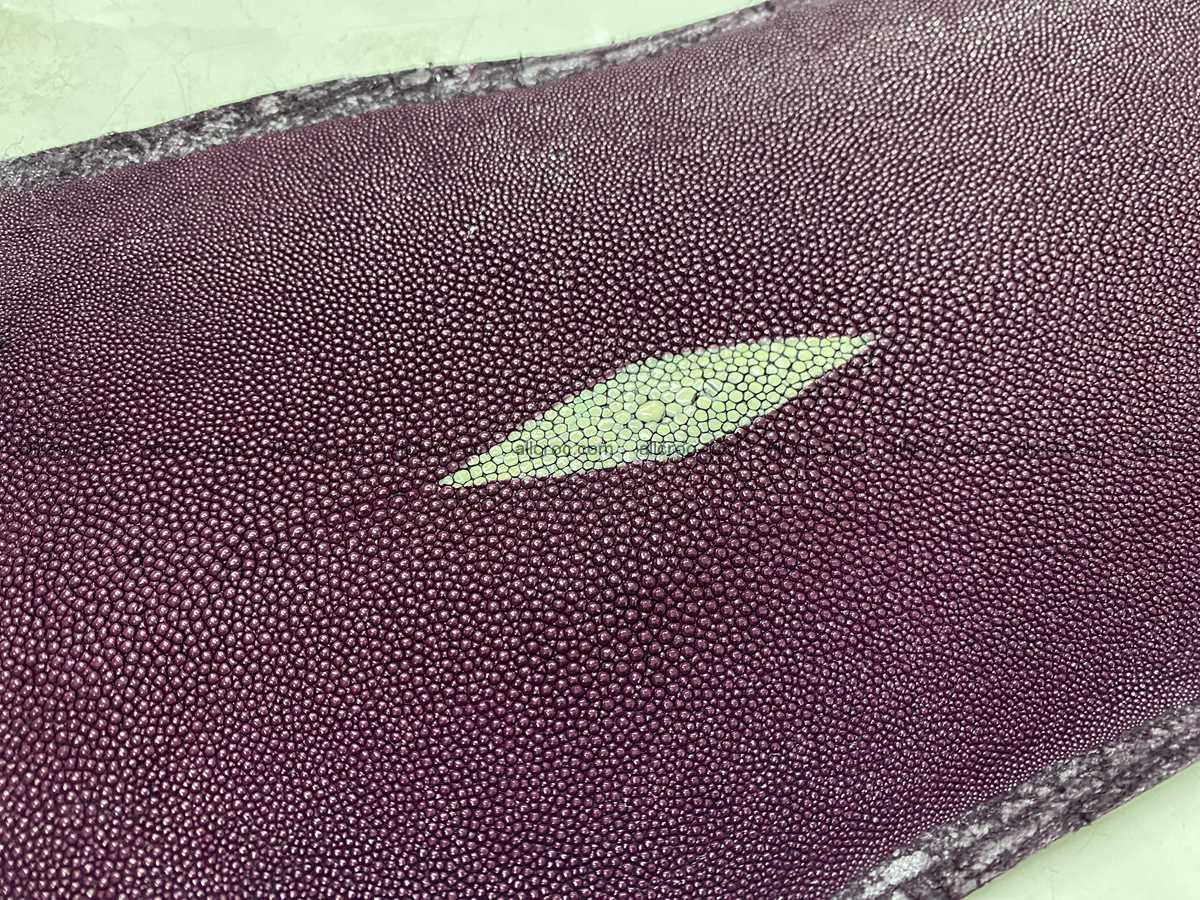 Stingray skin long shape 8 inches 2336 Foto 1