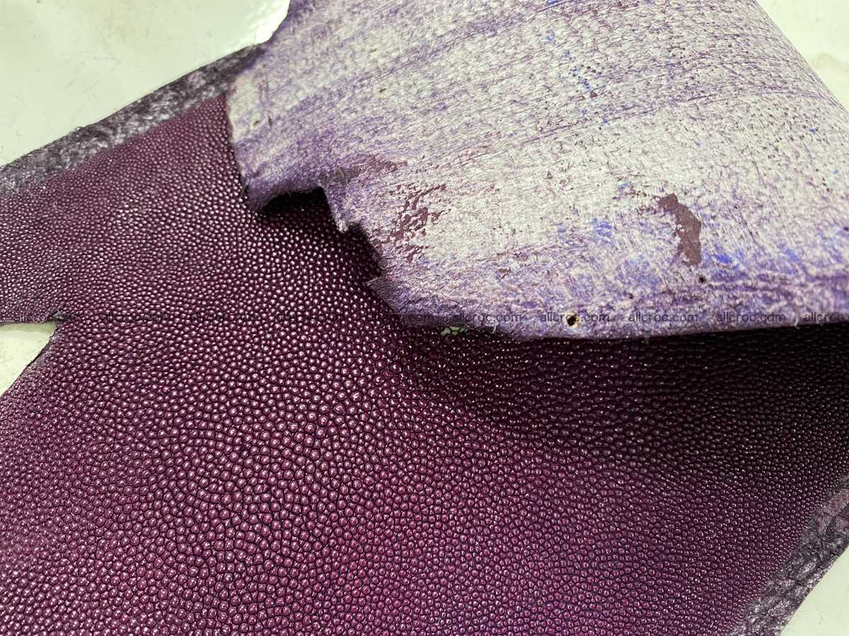 Stingray skin long shape 8 inches 2336 Foto 2