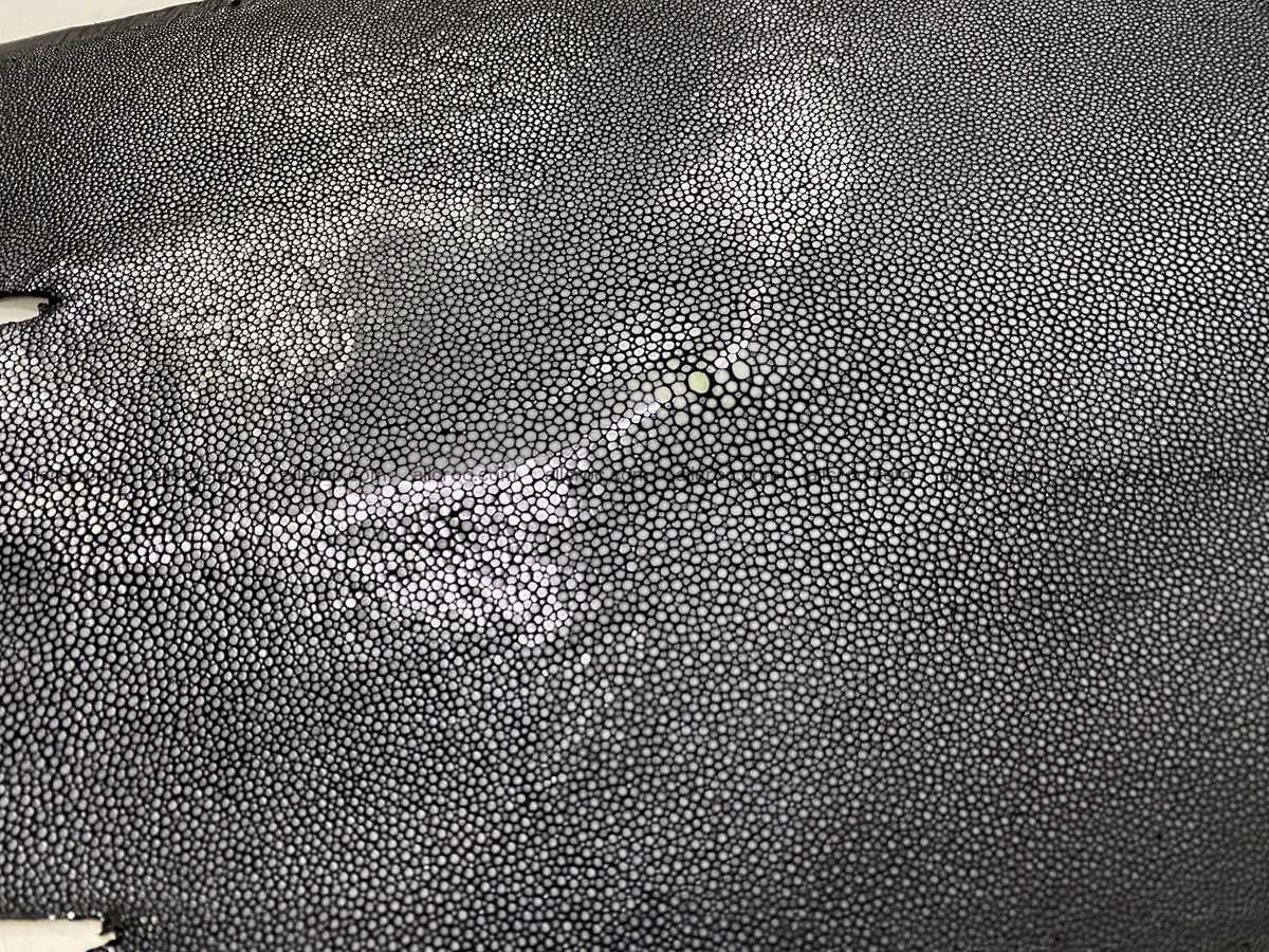 Polished stingray leather 10 inches round shape 2354 Foto 2