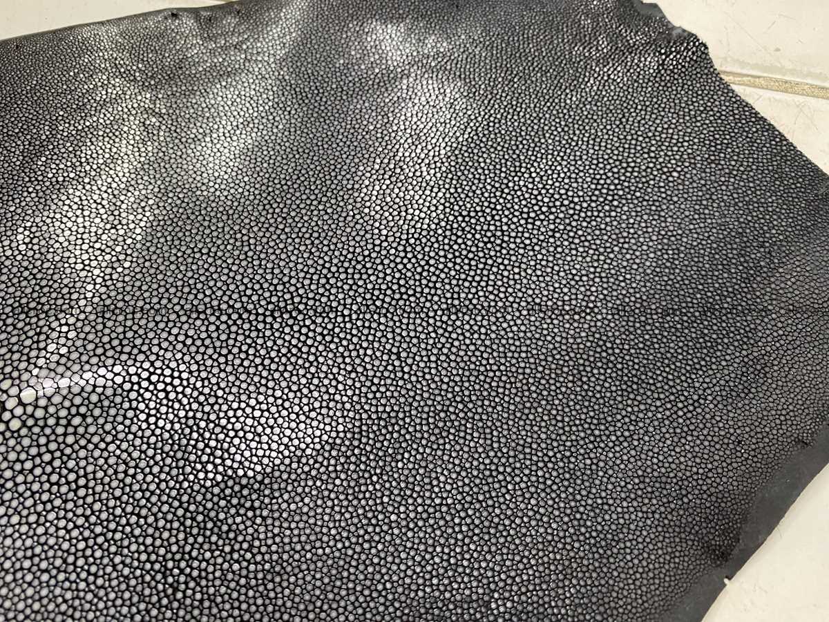 Polished stingray leather 10 inches round shape 2354 Foto 3