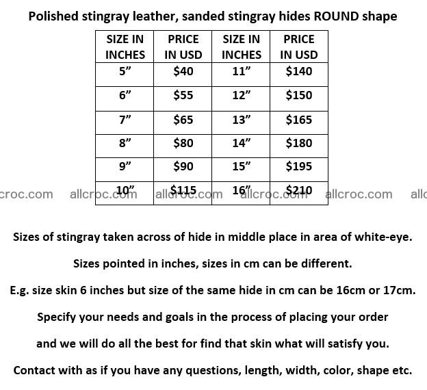 Polished stingray leather 8 inches round shape 2356 Foto 5