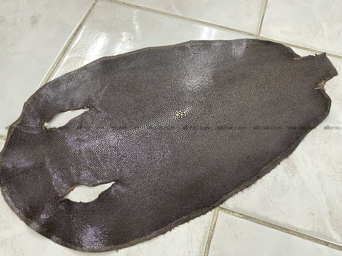 Polished stingray leather 8 inches round shape 2356 Foto 0