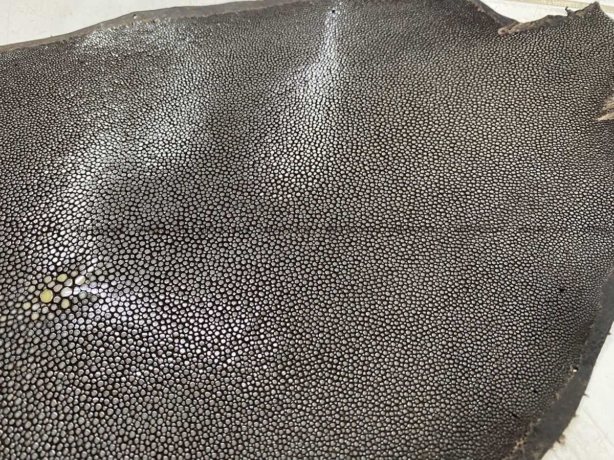 Polished stingray leather 8 inches round shape 2356 Foto 3