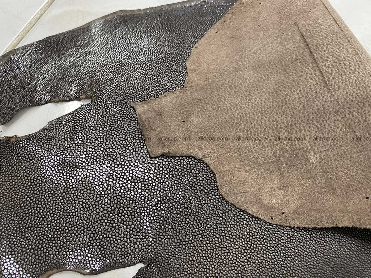 Polished stingray leather 8 inches round shape 2356 Foto 4