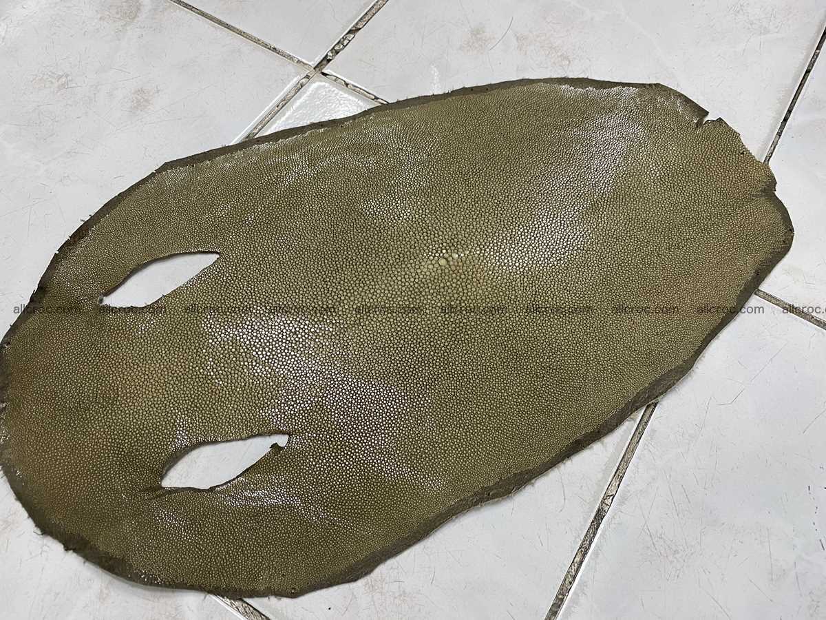 Polished stingray leather 7 inches round shape 2361 Foto 0